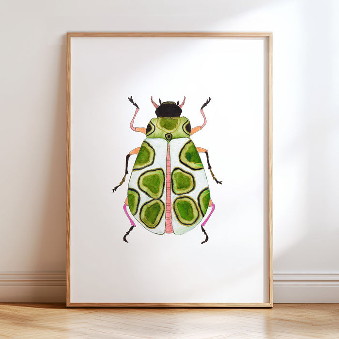 Beetles - Set of 4 Art Prints