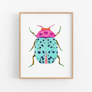 Beetle No. 34