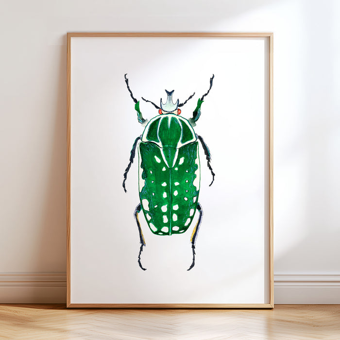 Beetle No. 6