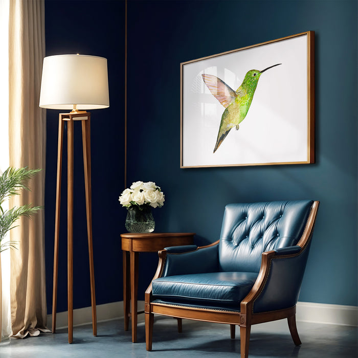 Berylline Hummingbird