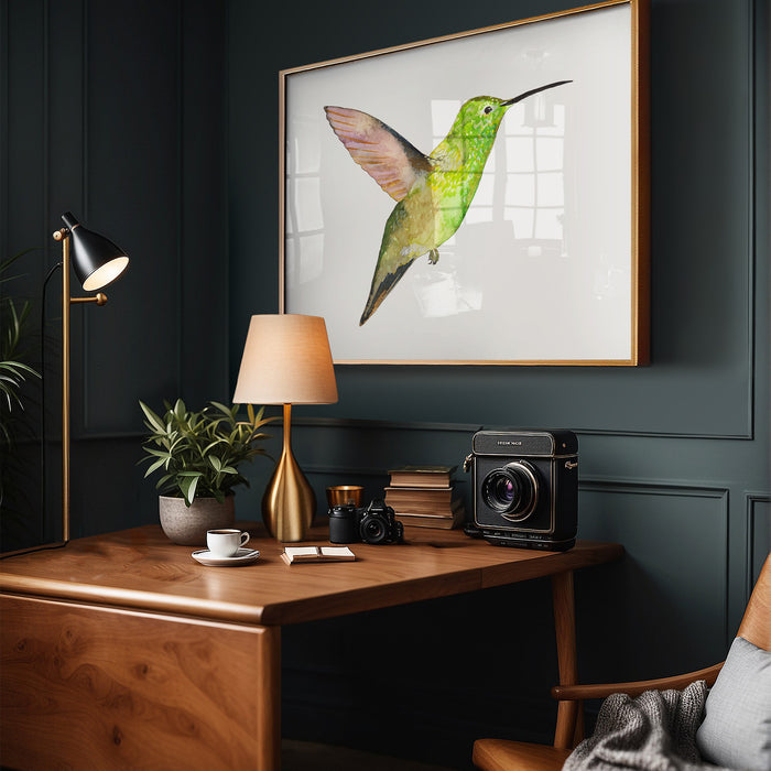 Berylline Hummingbird