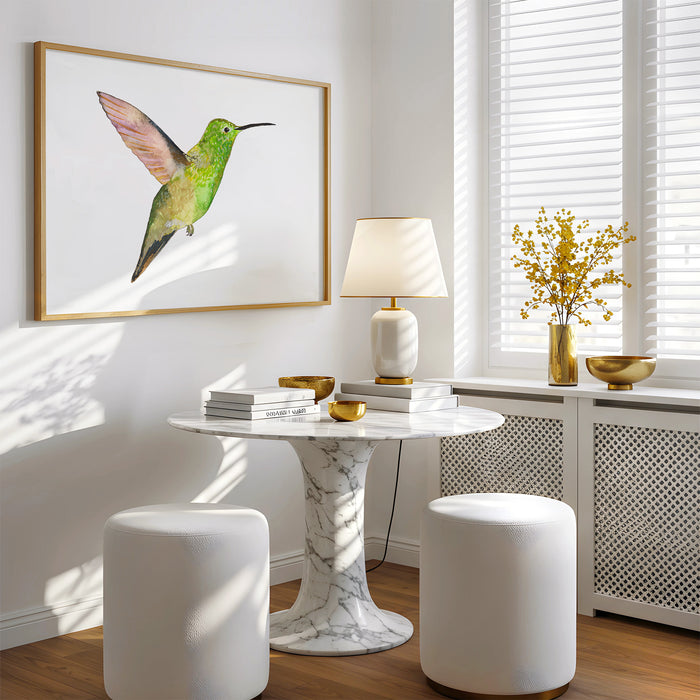 Berylline Hummingbird