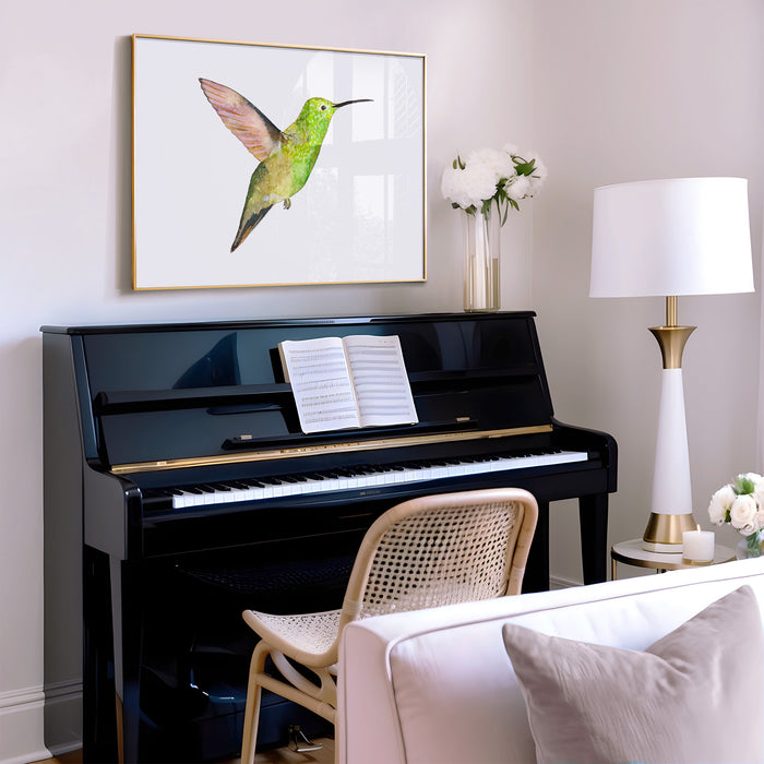 Berylline Hummingbird