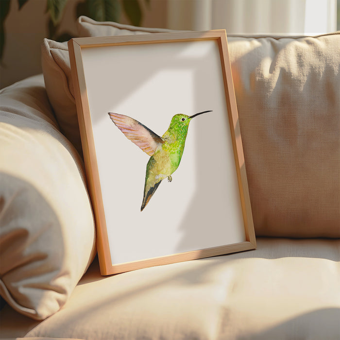 Berylline Hummingbird (Vertical Orientation)
