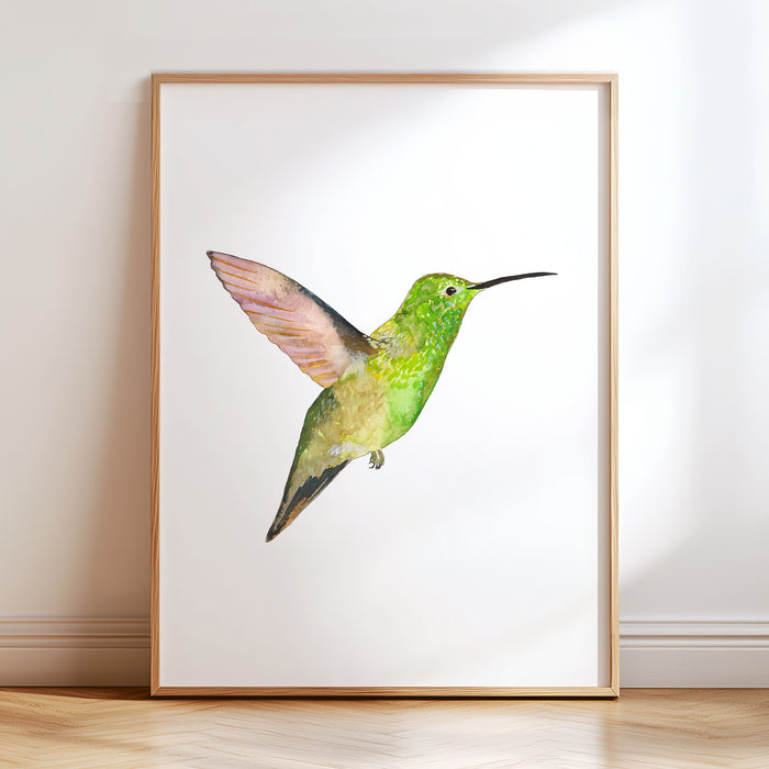 Hummingbirds - Set of 4 (Vertical Orientation)