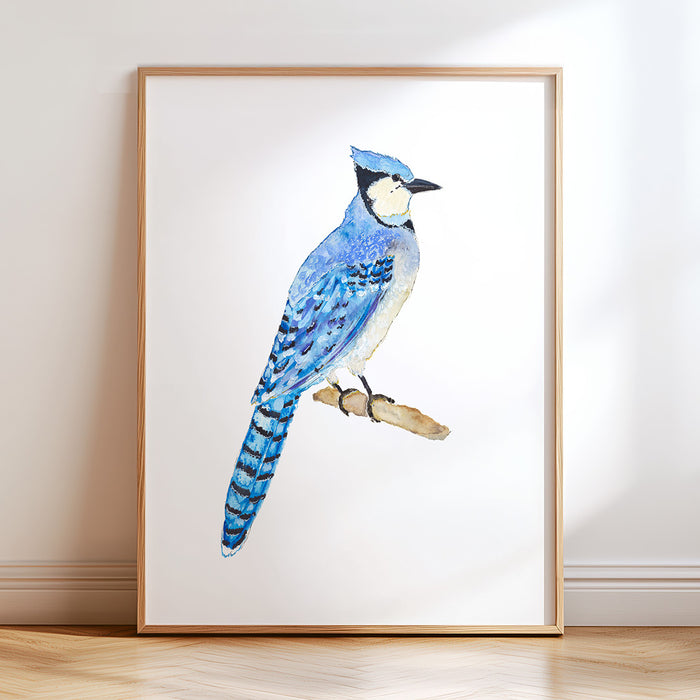 Blue Jay No. 1