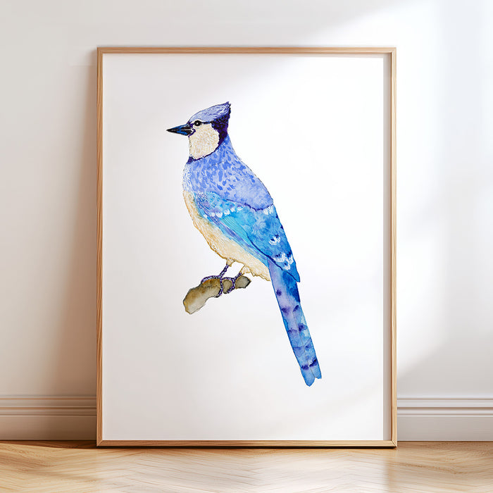Blue Jay No. 2