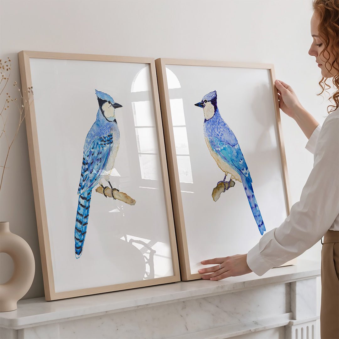 Blue Jay No. 1 – Snoogs & Wilde