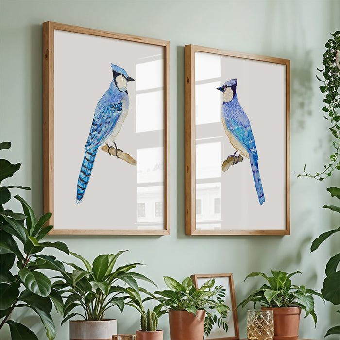 Blue Jays - Set of 2 Art Prints