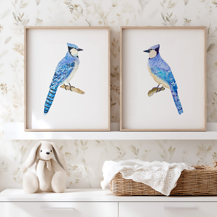 Blue Jays - Set of 2 Art Prints