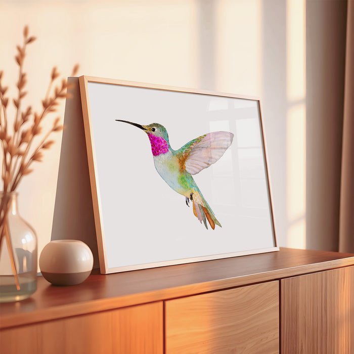 Broad-Tailed Hummingbird