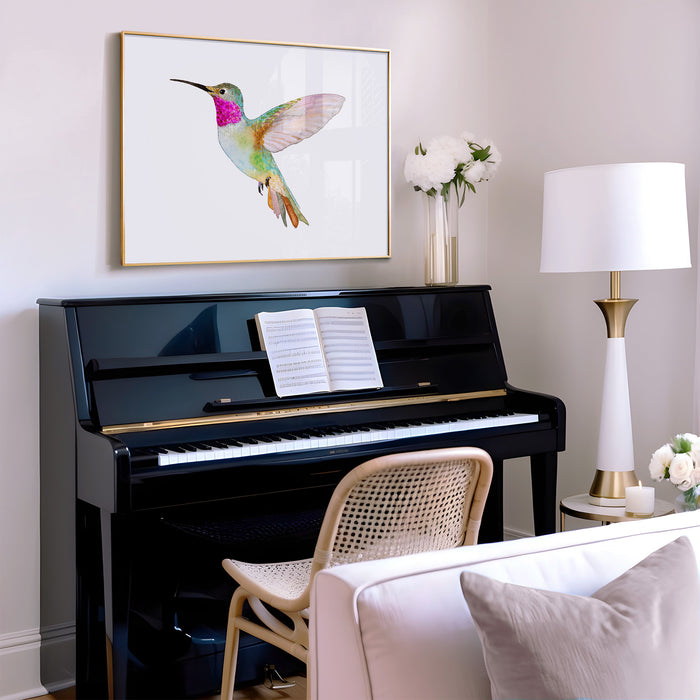 Broad-Tailed Hummingbird