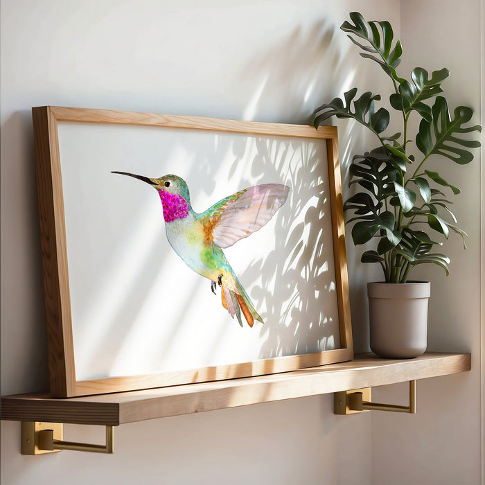 Broad-Tailed Hummingbird