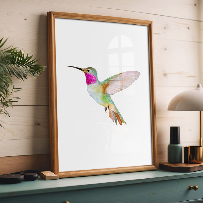 Broad-Tailed Hummingbird (Vertical Orientation)