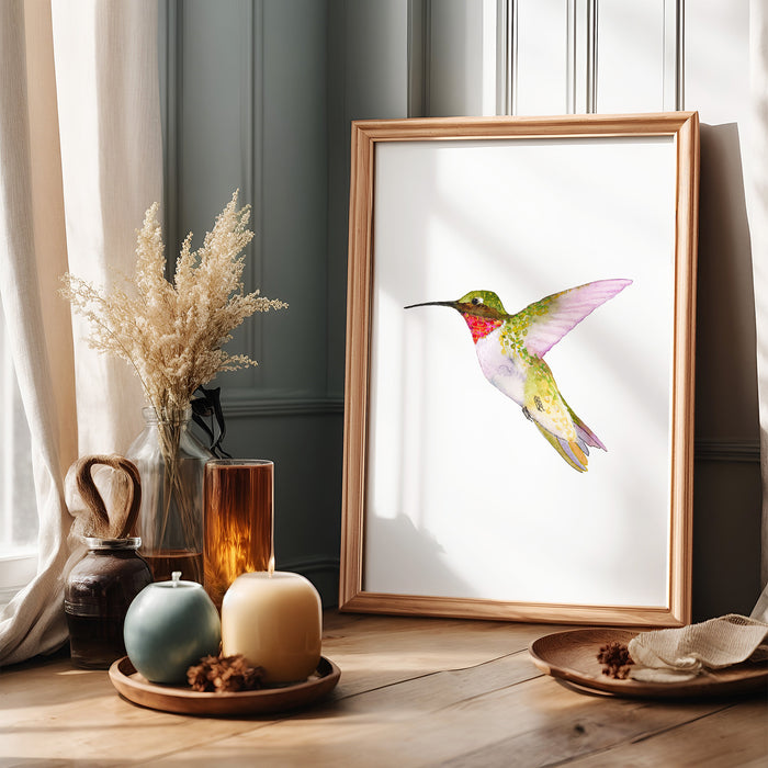 Ruby-Throated Hummingbird (Vertical Orientation)