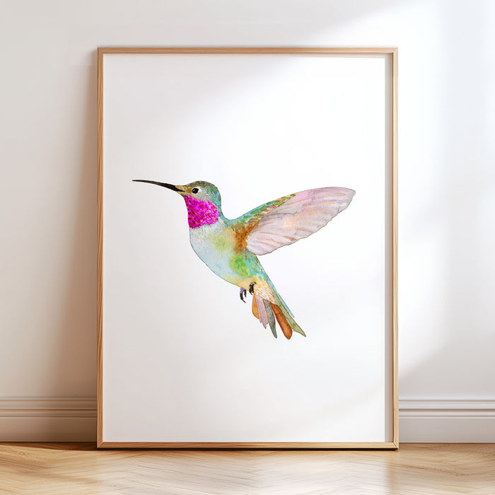 Broad-Tailed Hummingbird (Vertical Orientation)