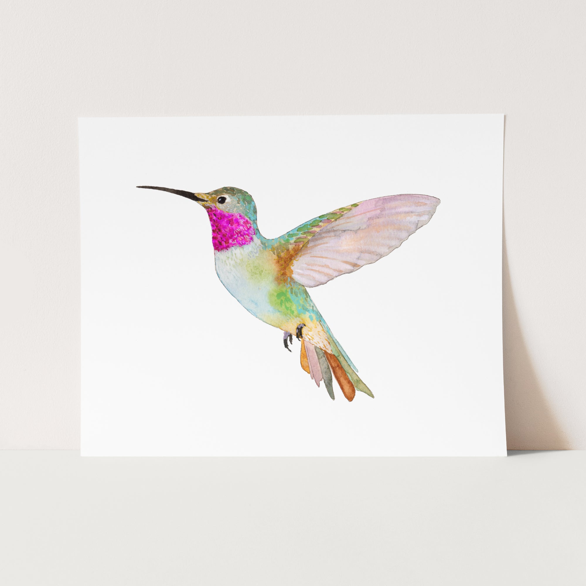 Hummingbirds Unite! ~ Set of 4