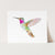 Hummingbirds Unite! ~ Set of 4