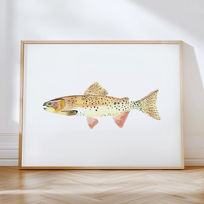 Cutthroat Trout