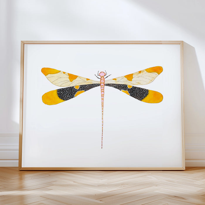 Dragonflies - Set of 4 Art Prints