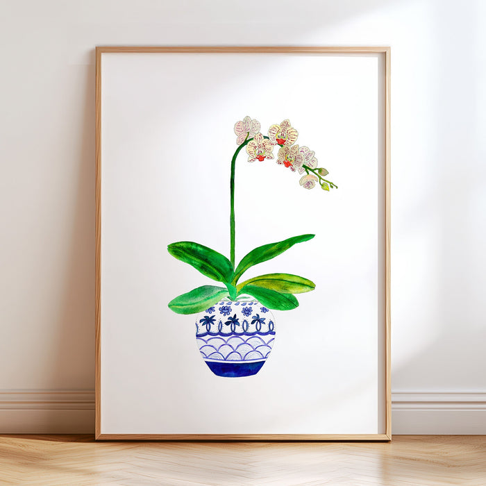 Ginger Jar Orchid No. 2