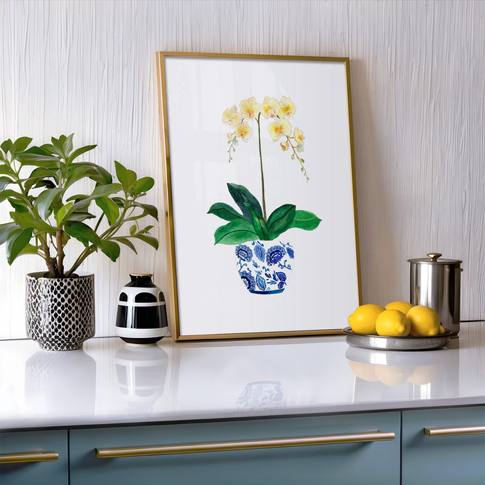 Ginger Jar Orchid No. 3