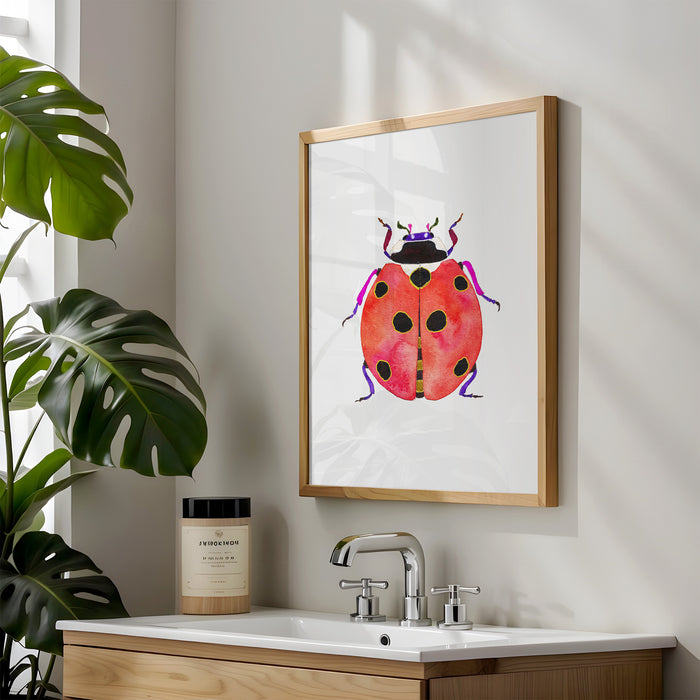 Ladybug