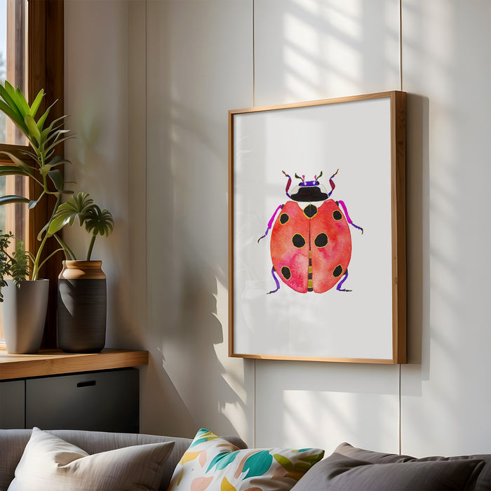 Ladybug