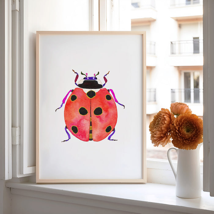 Ladybug