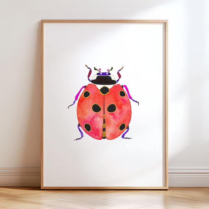 Ladybug