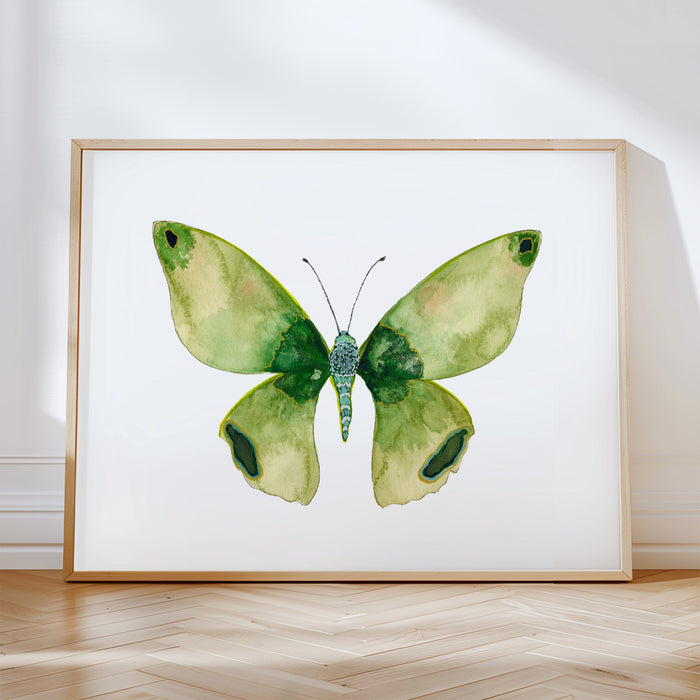 Butterflies - Set of 4