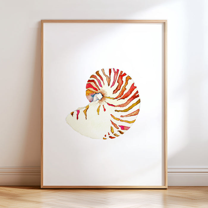 Nautilus Shell No. 1