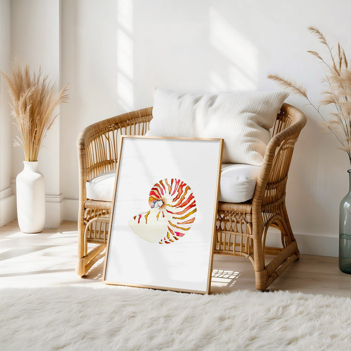 Nautilus Shell No. 1