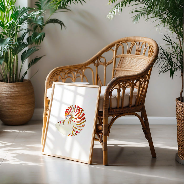 Nautilus Shell No. 1