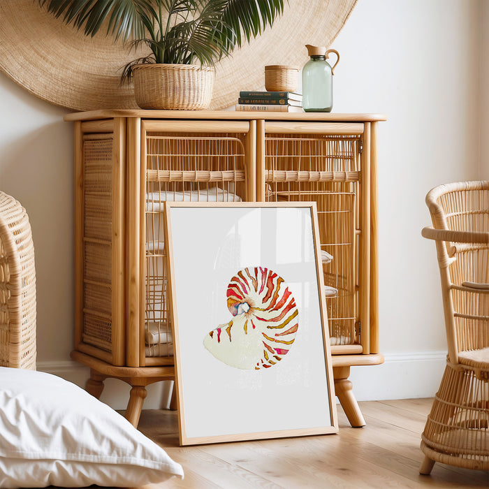 Nautilus Shell No. 1