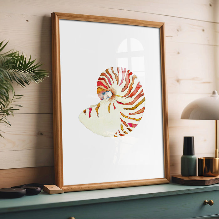 Nautilus Shell No. 1