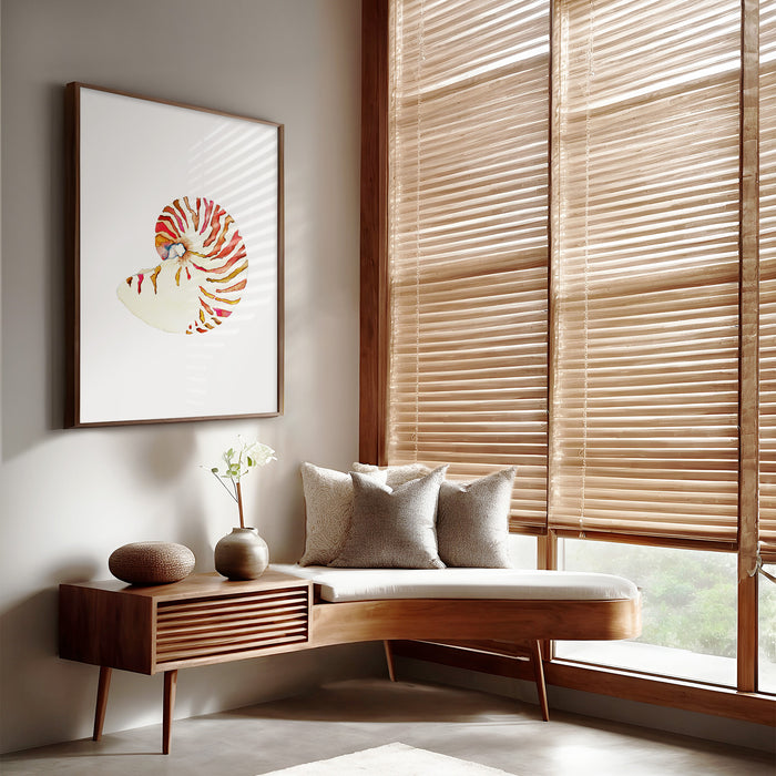 Nautilus Shell No. 1