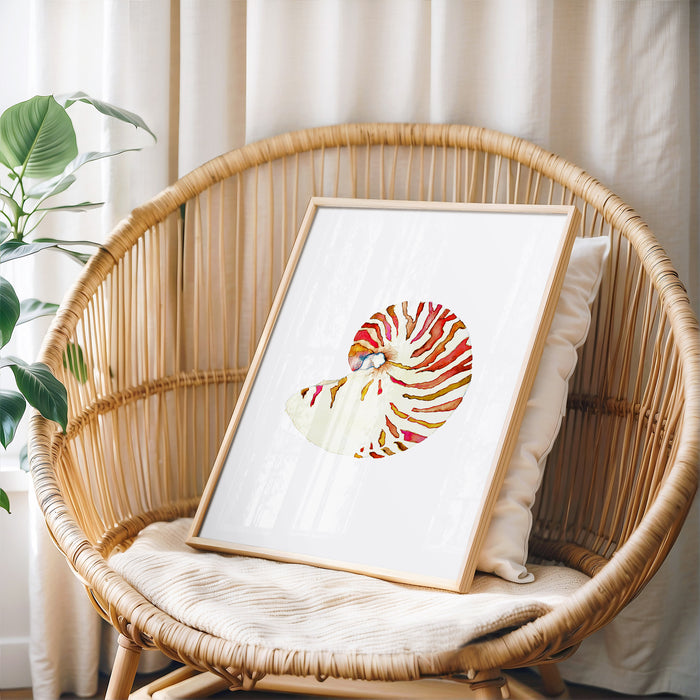 Nautilus Shell No. 1