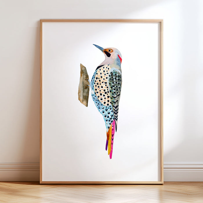 Northern Flicker Woodpecker