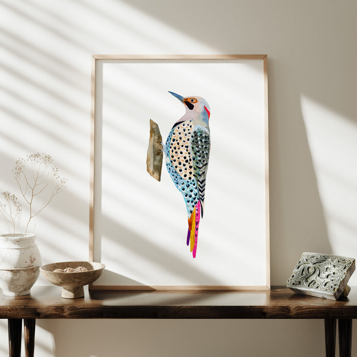 Northern Flicker Woodpecker