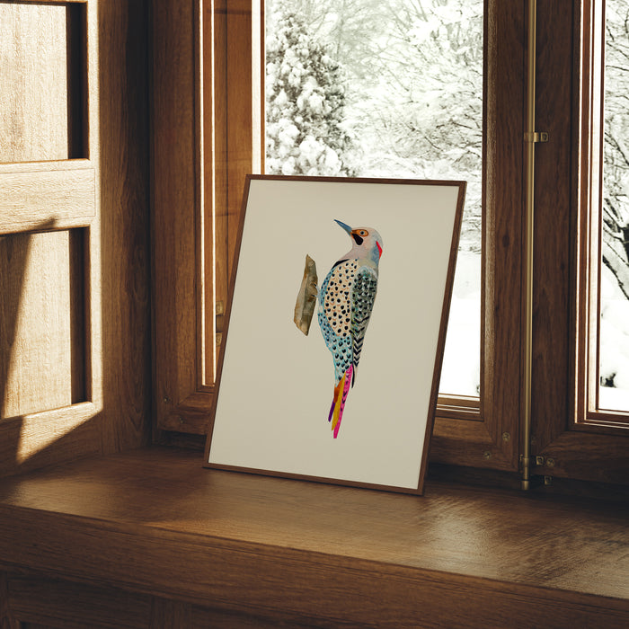 Northern Flicker Woodpecker