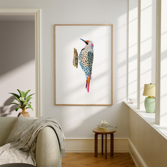 Northern Flicker Woodpecker