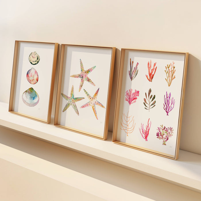 Treasures Of The Sea ~ Set of 3