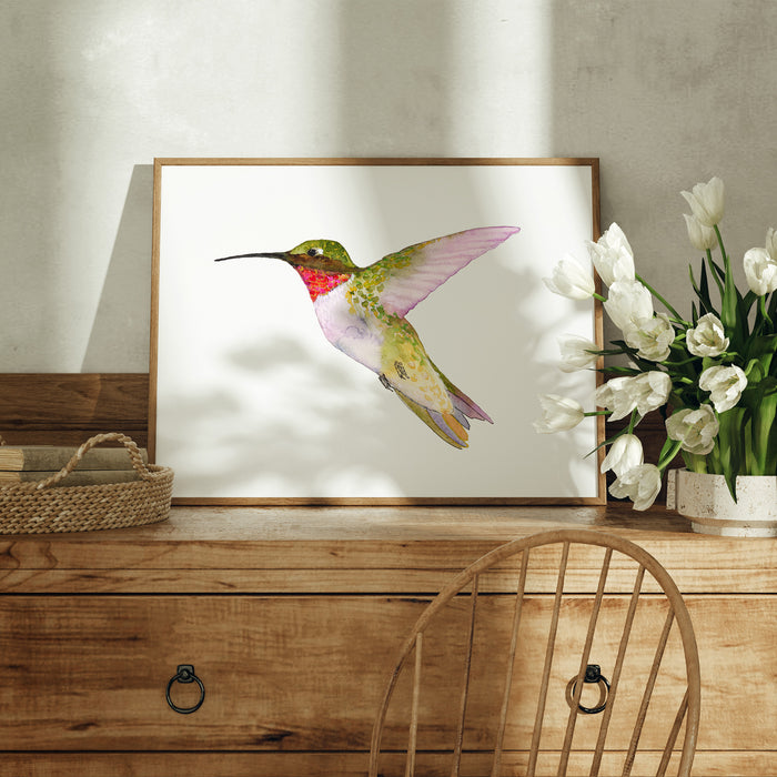 Ruby-Throated Hummingbird