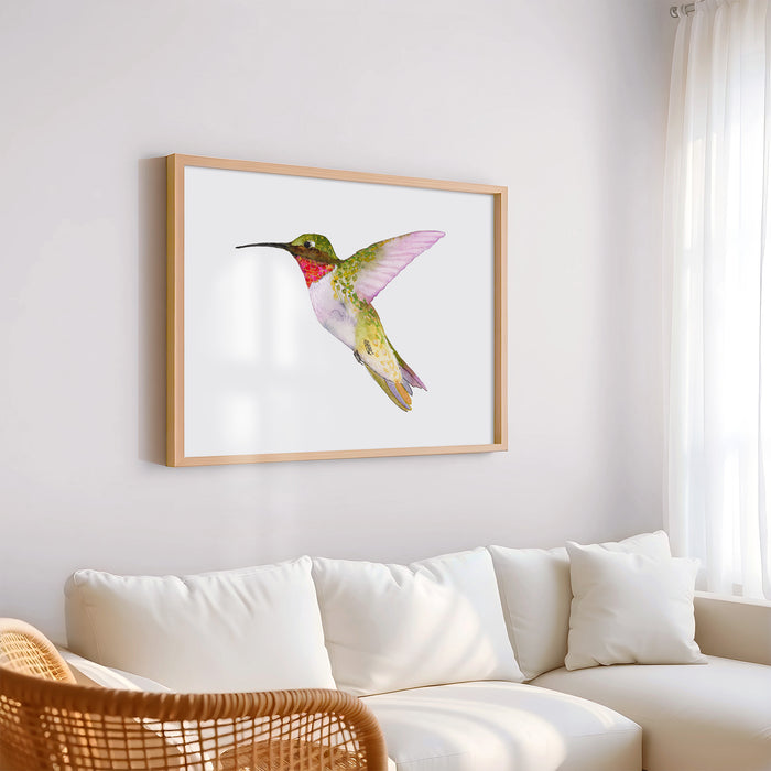 Ruby-Throated Hummingbird
