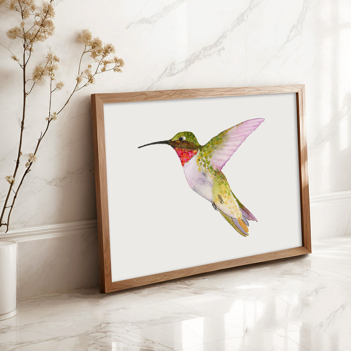 Ruby-Throated Hummingbird