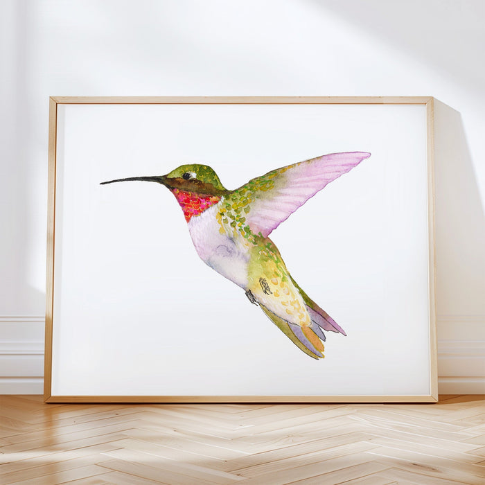Ruby-Throated Hummingbird