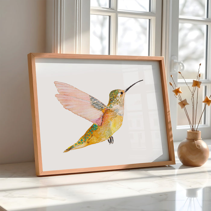 Rufous Hummingbird