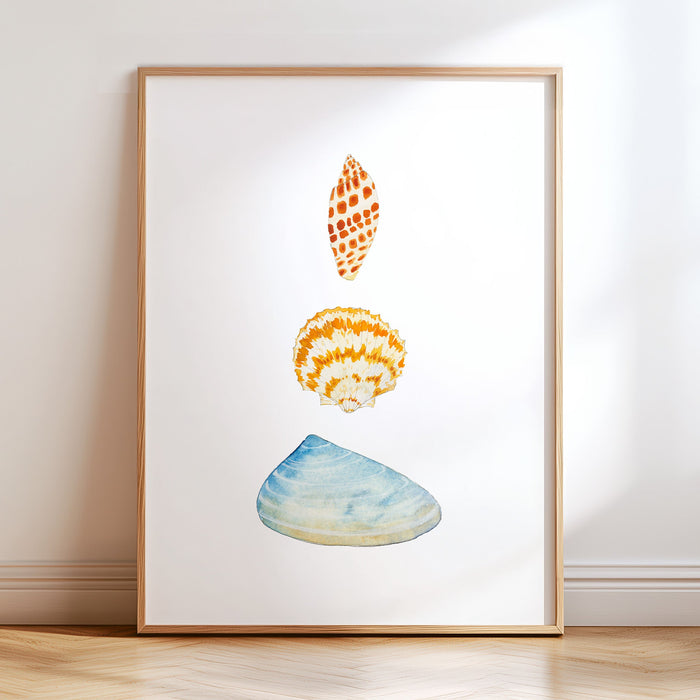 Sea Shells No. 1