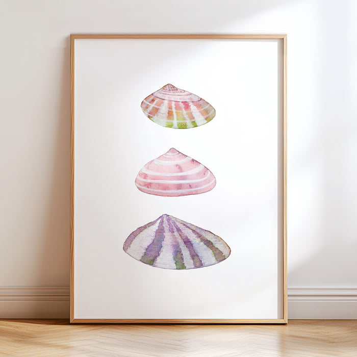 Sea Shells No. 3